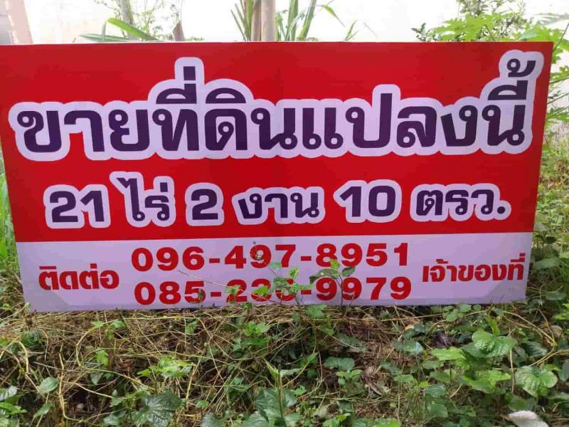 ขายหรือให้เช่าถูกมาก!! ที่ดิน 21-2-10 ไร่ วิวเขาสวย ติดถนน พร้อมสวนทุเรียน ลำไย อ.สอยดาว จ.จันทบุรีที่ดิน 21-2-10 ไร่- วิวภูเขาสวย บรรยากาศดีมาก- ติดถนนทางหลวงชนบท 8 เมตร เดินทางสะดวกสบาย- ที่ดินหน้ากว้างติดถนน 80 เมตรลึก 400 เมตร- ท้ายสวนเป็นคลองลำรางและสระเก็บน้ำ กว้าง15×30×8 เมตร&nbsp;- มีระบบไฟฟ้าเข้าสวนและมีบ้านพักคนงาน1หลังอยู่กลางสวน&nbsp;- มีถังเก็บน้ำบนเนินเขาบรรจุน้ำ 80 คิว �