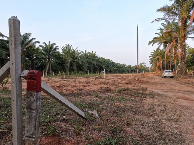 ขายที่ดิน Seaview ติดทะเล บนผาฝั่งแดง 3.5 ลบ. ต่อไร่  และที่ดินใกล้ทะเล ห่างไม่มาก ราคาดีดี มีให้เลือกหลายแปลงสวยๆเนื้อที่ตามที่ต้องการ ตั้งแต่ 100 วา ขึ้นไป โฉนดพร้อมโอน ค่าใช้จ่ายวันโอนคนละครึ่ง+++ ไฟฟ้า ประปา เข้าถึง+++ มีทางสาธารณะเข้าถึงที่ดิน การเดินทางสะดวก+++ ห่างจากถนนทางหลวง 300 เมตรที่ตั้ง: หาดฝั่งแดง ต.ทราทอง อ.บางสะพานน้อยจ.ประจวบคีรีขันธ์รายละเอียดที่ดิน:ท�
