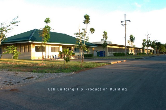 ขายโรงงานพร้อมดำเนินการ + ที่ดินขยายกิจการ จังหวัดระยอง มีใบอนุญาตประกอบกิจการโรงงานลำดับที่ 48(5) พร้อมสำหรับการขยายกิจการโรงงารหัสทรัพย์ WANS6924พื้นที่รวม 101ไร่ 2งาน 80ตารางวา Plot A (โรงงาน 29 ไร่) : 105 ล้านบาทPlot B (ที่ดินขยาย 72 ไร่) : 80 ล้านบาท ราคาพิเศษ ซื้อรวม : 160 ล้านบาท Plot A : โรงงานพร้อมดำเนินการ (29 ไร่กว่า)พื้นที่ใช้สอยรวมเกือบ 13,000 ตารางเมตรอาคารผลิต มี 2 อาคาร พื้นที่ใช้สอยประ�