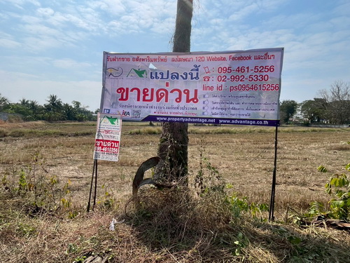 1354.ขายที่ดิน 3 งาน 78.0 ตรว. ที่ดินสวย ทำเลดี ติดทางสาธารณะประโยชน์ ต.ขามทะเลสอ อ.ขามทะเลสอ จ.นครราชสีมา2607ACL2156 ขายที่ดิน 3 งาน 78.0 ตรว. หน้ากว้าง 56 เมตร ลึก 39 เมตร ที่ดินสวย ทำเลดี ติดทางสาธารณะประโยชน์ ภายในที่ดินเป็นที่สำหรับทำนาติดคลองส่งน้ำทำนาได้ทั้งปี มีเพื่อนบ้าน น้ำไฟเข้าถึง อยู่ในแหล่งชุมชน บรรยากาศดี เหมาะกับการทำที่อยู่อาศัย, บ้านสวน, รีสอร์ท การเกษตร หรือซ�