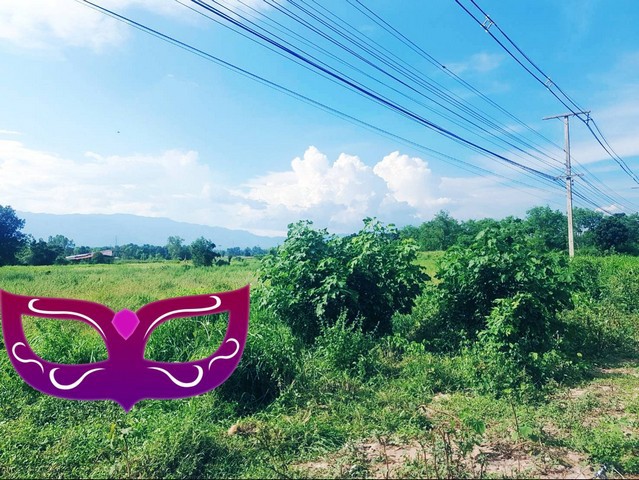 ขายที่ดิน ติดAH1 สวยมากมาย ติดถนนพหลโยธิน ถนนเอเซีย แปลงที่ดินรูปสี่เหลี่ยมผืนผ้า เนื้อที่ 3-1-40 ไร่ โฉนดที่ดินเลขที่ 11317 ต.ตากออก อ.บ้านตาก จ.ตาก  ผ่อนตรงกับเจ้าของได้  เช่า 4000 บาท/ไร่/ปี  แบ่งโฉนดขาย ไร่ละ 1,800,000 บาท ค่าใช้จ่ายวันโอนคนละครึ่ง  แบ่งโฉนดขาย ติดถนนสายหลักใหญ่ของแผนที่ประเทศไทยเส้นทางหลักขึ้นสายเหนือ AH1 ที่สวยติดถนนพหลโยธิน  ที่ดินติดถนนเอเซีย AH1  หน้ากว้