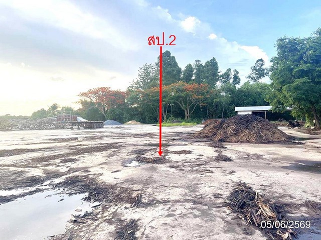 ขาย บ้านเดี่ยว/ทาวน์เฮ้าส์/คอนโด โครงการโกดัง กาฬสินธุ์   ถนน ถีนานนท์(ทล.12) ตำบล ยางตลาด อำเภอ ยางตลาด จังหวัด กาฬสินธุ์  ราคาโปรโมชั่น   12,297,000   บาท    ลดจาก  15,881,000  บาท ราคาโปรโมชั่นตั้งแต่วันที่ 1 กรกฎาคม 2569 – 30 กันยายน 2569  รายละเอียดทรัพย์ -  เนื้อที่  1-0-0.00 ไร่ พื้นที่ใช้สอย 2,315.00 ตารางเมตร -  บ้านหันไปทางทิศ เหนือ  พิกัดทรัพย์ : https://maps.app.goo.gl/DXQgvL1s9MFwGZ3y9  สถานที่ใกล้เคียง   -โรงพยาบาลยางตลาด -�