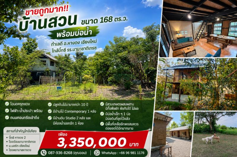 ขายถูกมาก!! บ้านสวน ขนาด 168 ตร.ว. พร้อมบ่อน้ำ ทำเลดี อ.หางดง เชียงใหม่ ใกล้บิ๊กซี โรงเรียนนานาชาติฯเดินทางสะดวกสบาย เข้า-ออก ได้หลายเส้นทาง หาของกินง่าย ใกล้ตลาด เซเว่น ร้านค้า ร้านอาหารมากมายบ้านสวน - บ้านที่เป็นเหมือนโรงเรียนของเราบ้านหลังนี้เรารักมากค่ะ เพราะค่อยๆสร้าง ค่อยๆปลูก ค่อยๆเรียนรู้&nbsp;และแก้ปัญหาทุกอย่างด้วยตัวเอง หลายสิ่งที่ได้เรียนรู้จากท�