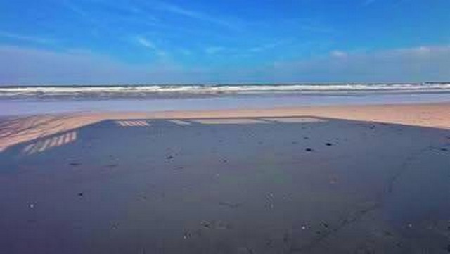 ตารางวาละ 46220 บาท ที่ดินติดทะเล สะพลี จ.ชุมพร ใกล้ หาดทุ่งวัวแล่น ทำเลท่องเที่ยวเหมาะทำ รีสอร์ท / คาเฟ่ / บ้านพักตากอากาศ ขนาด 119 ตร.วา  5.5 ลบ. และ 145 ตร.วา 6.6 ลบ. 2 แปลงติดกัน 264 ตารางวา  ไฟฟ้า ประปาพร้อม  ใกล้สนามบินชุมพร 18 กม. ใกล้ตัวเมือง 19 กม.   ที่ดินติดทะเลหายาก รีบจับจองก่อนพลาด โอกาสครอบครองที่ดินติดทะเลแท้ ในทำเลท่องเที่ยวยอดนิยมของจังหวัดชุมพรรองรับการลงทุนระยะยา�