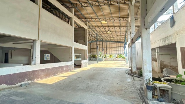 โกดังพื้นที่สีเขียว Letana Hotel 1.86กม. 1225ตรม. 64,998-89,999 B-M เทพารักษ์  บางพลี-ตำหรุ ธนสิทธิ์   300 ตร.ว. สนามฟุตบอล Siam Inter FC ใกล้รร.ประภามนตรี 3 300 ม.และรพ.เปาโล 1.2 กม. เหมาะสำหรับทำโกดังเก็บสินค้า ทำเลดีบนถนนเทพารักษ์ เชื่อมต่อบางนา ตราด และเส้นทางหลักได้สะดวก ย่านชุมชน และแหล่งธุรกิจ รายล้อมด้วยตลาด ศูนย์การค้า และแหล่งงาน เหมาะสำหรับผู้ประกอบการที่ต้องการโกดังในทำเลบางพลี ขาย 15,999,999 �