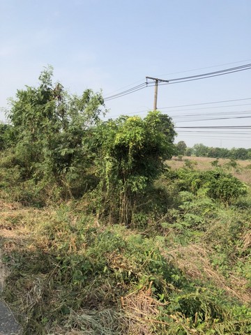 ขายที่ดิน ติดAH1 สวยมากมาย ติดถนนพหลโยธิน ถนนเอเซีย แปลงที่ดินรูปสี่เหลี่ยมผืนผ้า เนื้อที่ 3-1-40 ไร่ โฉนดที่ดินเลขที่ 11317 ต.ตากออก อ.บ้านตาก จ.ตาก  ผ่อนตรงกับเจ้าของได้  เช่า 4000 บาท/ไร่/ปี  แบ่งโฉนดขาย ไร่ละ 1,800,000 บาท ค่าใช้จ่ายวันโอนคนละครึ่ง  แบ่งโฉนดขาย ติดถนนสายหลักใหญ่ของแผนที่ประเทศไทยเส้นทางหลักขึ้นสายเหนือ AH1 ที่สวยติดถนนพหลโยธิน  ที่ดินติดถนนเอเซีย AH1  หน้ากว้