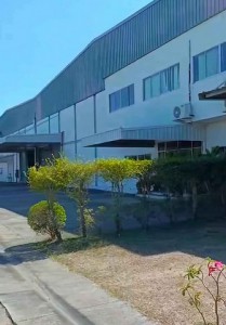 #ขายโรงงานบ้านบึงชลบุรี 10,000 ตารางเมตร#ขายที่ดินพร้อมสิ่งปลูกสร้างบ้านบึงชลบุรี????️ผังม่วงลาย✴️บนพื้นที่  24  ไร่✴️ขนาดพื้นที่รวม 10,000 ตรม.????อำเภอบ้านบึง จังหวัดชลบุรี????ราคาขาย  290  ล้าน  (ค่าภาษีโอน  50/50 )✴️รายละเอียด✴️????ขนาดโรงงาน 1. =3,500 ตรม.????ขนาดโรงงาน 2= 6,500 ตรม.????พื้นสีม่วงลาย????สามารถทำการผลิตได้????พร้อมใบอนุญาต รง4????พื้นรับน้ำหนักได้ 3 ตัน????จุดต่ำสุดภายในโรงงาน 9 เมตร????มี�