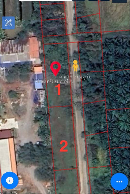 ขายที่ดินเปล่ามีโฉนด ติดถนนทำเลดี ท่าทองใหม่ สุราษฎร์ธานีที่ตั้ง : ต.ท่าทองใหม่ อ.กาญจนดิษฐ์ จังหวัดสุราษฎร์ธานี 84290พิกัด : https://maps.app.goo.gl/GWSuPkdN9fvj7ixdAขนาดเนื้อที่ : 390 ตร.วารายละเอียดที่ดินเปล่ามีโฉนด ติดถนน มีระบบไฟฟ้าและน้ำประปาเข้าถึงได้ มีขนาดพื้นที่กว้าง ทำเลดี เดินทางสะดวกบรรยากาศเงียบสงบ เหมาะสำหรับปลูกบ้านหรือทำโครงการ ที่ดินไม่ต้องถมเพิ่มมาก ประหยัดต้นทุน
