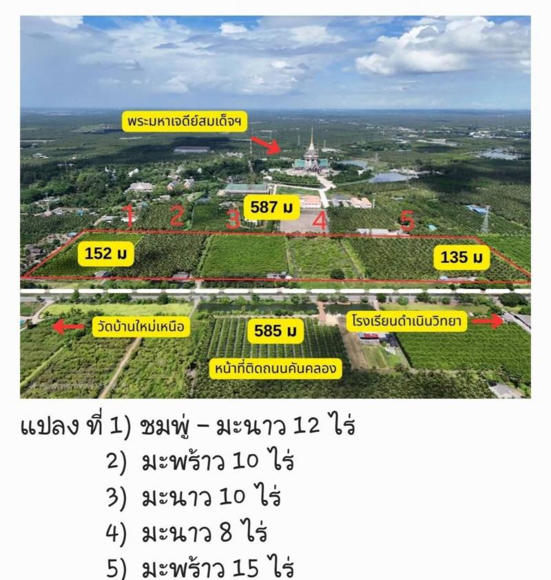 ขายที่ดินสวน  ติดหลังวัดหลวงพ่อสด ด้านหน้าติดถนนคลองชลประทาน อำเภอดำเนินสะดวก จังหวัดราชบุรี