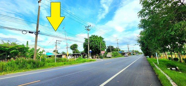 ขายที่ดินติดถนนเรียบคลอง10 หนองเสือปทุมธานี ทำเลค้าขาย*** ขายราคาไร่ละ 2.8 ล้านบาท ***  ( มีเนื้อที่ 120 ตรว  )ขายที่ดินติดถนนลาดยางเรียบคลอง10หนองเสือ ใกล้อำเภอหนองเสือ วิวคลอง ติดถนน 2 ด้าน ทำเลดีเหมาะค้าขาย ร้านอาหาร บรรยากาศดี อยู่ใกล้แหล่งชุมชนที่ตั้ง:  ( เรียบคลอง1หนองเสือฝั่งตะวันออก )  ตำบล บึงบา อำเภอ หนองเสือ ปทุมธานี 12110ขายที่ติดคลอง 10 หนองเสือ ติดถนนลาดยาง ขนาด