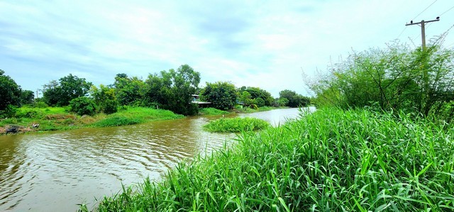 ขายที่ดินติดคลอง หลัง มศว องครักษ์ นครนายก*** ขายราคาไร่ละ 1.85 ล้านบาท ( มีเนื้อที่ 1-0-5.5 ไร่ ) ****ขายที่ดินติดคลอง 1 ไร่กว่า องครักษ์ คลอง 25 หลัง มศว หน้าน้ำวิวสวย ด้านหน้าติดถนนคอนกรีต เหมาะปลูกบ้านสวน อยู่ยามเกษียณ ทำคาเฟ่ทำร้านอาหาร ทำรีสอร์ทที่ตั้ง :  ตำบล องครักษ์ อำเภอ องครักษ์ นครนายก 26120ขายที่ดิน เนื้อที่ 1-0-5.5 ไร่  ด้านหน้าติดถนนคอนกรีตวิวคลอง  ข้างหลังติดคลอง- กว้