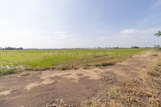 S8032ขายที่ดินเปล่า (ปัจจุบันเป็นที่นา) เนื้อที่ 20 ไร่ ทรงสวยสี่เหลี่ยม ต.วังพัฒนา อ.บางซ้าย จ.พระนครศรีอยุธยา โอกาสของนักลงทุน! ที่ดิน 20 ไร่ บางซ้าย อยุธยา (สีเขียวลาย) แปลงใหญ่ราคาสุดคุ้ม เพียง 7 ล้านบาท (ฟรีค่าโอน)จุดเด่น & ศักยภาพของแปลงนี้:•เนื้อที่ 20 ไร่ (เฉลี่ยไร่ละ 350,000 บาท) เหมาะสำหรับนักลงทุนที่ต้องการต้นทุนที่ดินต่ำเพื่อสร้างกำไรในอนาคต•รูปแปลงสวยใช้งาน�