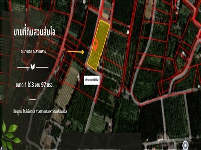 ห้ามพลาด ราคาดี ทำเลน่าเก็บ!! ขายที่ดิน สามพราน นครปฐม สวนส้มโอแปลงสวย ขนาด 1 ไร่ 3 งาน 97 ตร.วา เหมาะสำหรับต่อยอดผลผลิต ปลูกบ้านสวน ทำเลดี บรรยากาศเงียบสงบร่มรื่น เดินทางสะดวก ใกล้เซ็นทรัลศาลายามหาวิทยาลัย โรงพยาบาล.TPI-3454.ที่อยู่: ต.บางเตย อ.สามพราน จ.นครปฐมhttps://maps.app.goo.gl/oXNTVC6oCdq1v1yd9?g_st=il.รายละเอียด  ✅ ที่ดิน เนื้อที่ 1 ไร่ 3 งาน 97 ตารางวา (797  ตร.ว.) ✅ ผังเมืองสีชมพู หน้ากว้าง 37.40 เมตร ยาว 