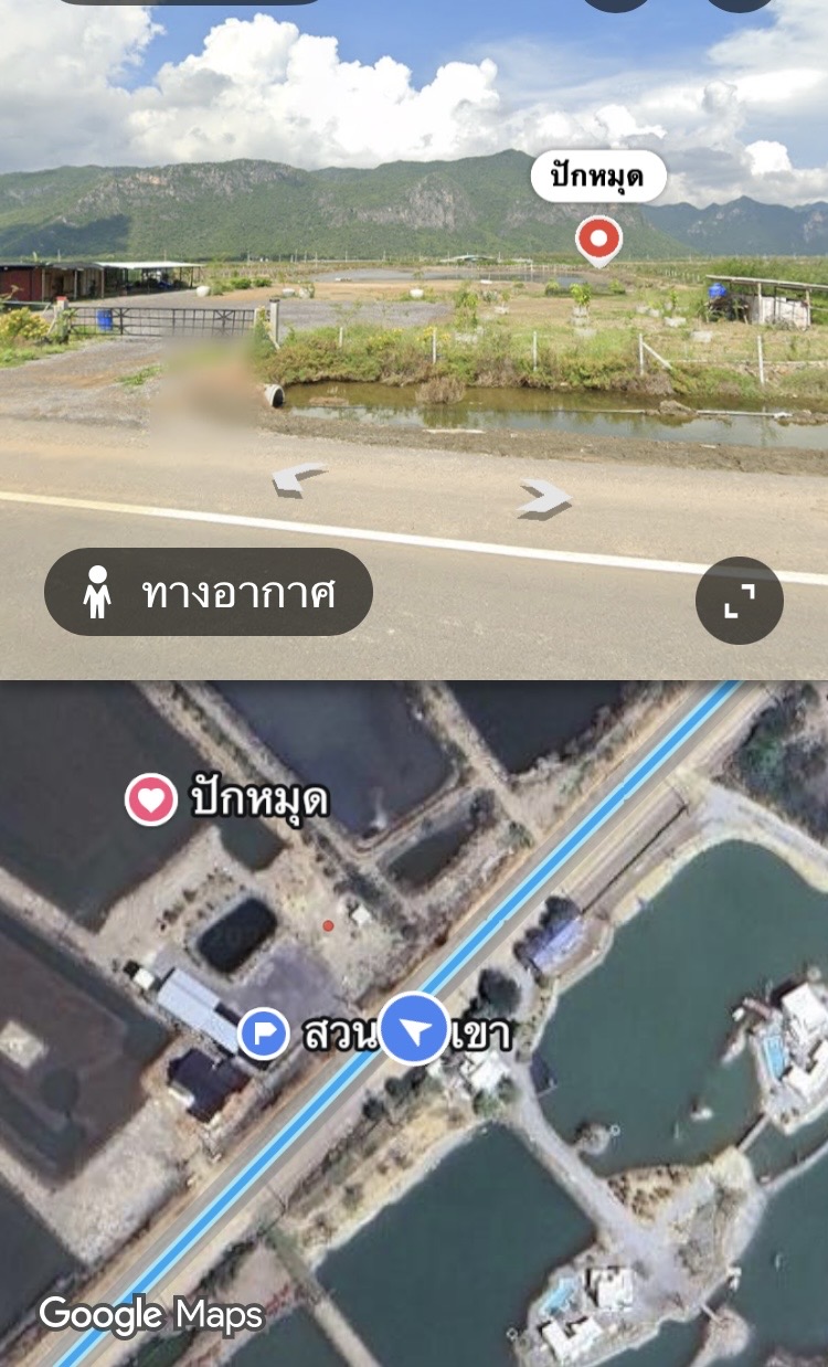 ⛰️ ขายด่วน! ที่ดินวิวเขา 360 องศา ใกล้หาดสามพระยา 1.2 กม. (โฉนดครุฑแดง) ⛰️พิกัด: อ.กุยบุรี จ.ประจวบคีรีขันธ์https://maps.app.goo.gl/QR8ehnZYAGWCPz9A6?g_st=il ราคาเหมายกแปลง: 14 ล้านบาท (เจ้าของขายเองโดยตรง)เนื้อที่รวม 13 ไร่ 75 ตารางวารายละเอียดที่ดิน✨ เงียบสงบ เป็นส่วนตัว บรรยากาศดี เหมาะทำบ้านพักตากอากาศ หรือพูลวิลล่า ✨ที่ดินโฉนดครุฑแดง (น.ส.4) จำนวน 2 แปลง เนื้อที่รวม 13 ไร่ 75 ตารางวาหน้ากว้างติดถนน 57 เม�