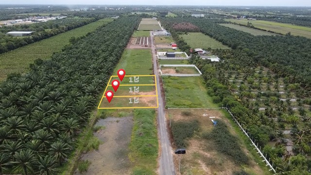  ขายที่ดินบ้านสวน คลอง 9 (ปทุมธานี) แปลงสวย โซนหน้าโครงการ!### หากท่านสนใจชมเป็นVDO Youtube กรุณาคลิ๊กลิ้งค์ :  https://youtu.be/R38satzx8VAอยากมีบ้านสวนใกล้กรุงเทพฯ หรือหาที่ดินทำโกดัง-จุดพักสินค้า? แปลงนี้ตอบโจทย์สุดๆ ครับ! ???? ตำบลบึงบอน อำเภอหนองเสือ จังหวัดปทุมธานีจุดเด่นโครงการ:- เนื้อที่ 1 ไร่เต็ม (แปลง A2 A3 A4 โซนหน้าโครงการ)- เข้าซอยจากถนนหลัก (ปท.4001 เรียบคลอง 9) เพียง 300 เมตร- ถนนสาธารณประโ