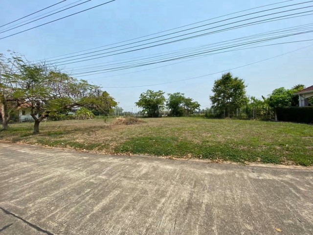 โซนดอยสะเก็ด ขายเพียง 1.8 ล้าน 145.8 ตรว. ที่ดินแปลงสวย ทำเลดี บรรยากาศเงียบสงบ เหมาะสร้างบ้านพักอาศัยหรือซื้อไว้ลงทุนในอนาคต #ใกล้เซ็นทรัลเฟสติวัลรายละเอียดที่ดินที่ดิน 2 แปลงติดกันเนื้อที่รวม 145.80 ตารางวาหน้ากว้างประมาณ 18 เมตรความลึก 33 และ 35 เมตรโฉนดพร้อมโอนราคาขาย 1,800,000 บาท ค่าโอน 50/50เหมาะสำหรับสร้างบ้านเดี่ยวบ้านพักตากอากาศพูลวิลล่าเพื่อขายพูลวิลล่าปล่อยเช่