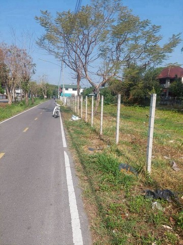 #โซนอำเภอเมือง ขาย 25,000 บาท/ตร.วา 10 ไร่ 1 งาน 95 ตรว. #ที่ดินทำเลดี ใกล้ ร.ร.สารสาสน์ และหมู่บ้านเออบาน่า 4 สิ่งอำนวยความสะดวกครบครันเนื้อที่ 10 ไร่ 1 งาน 95 ตรว.ที่ดินสวย โซนแม่เหียะ อำเภอเมืองอยากได้อสังหาโซนไหน สอบถามเข้ามาได้เลยต้องการอสังหาแบบไหนที่ Northern Land Chiangmai เรามีครบ ครอบคลุม #ทั่วเชียงใหม่ ไม่ว่าจะเป็น#พูลวิลล่า #บ้านใหม่ #บ้านมือสอง #บ้านเช่า #คอนโด #อสังหาพร้อมผู้�