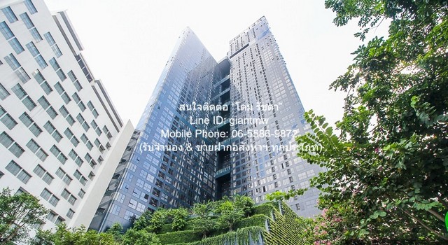 DSL-967สนใจติดต่อ: โดม รัชดา (Exclusive Contract)โทร: 065-586-9872ไลน์ไอดี: 0655869872 หรือ giantmw หรือ @yem0202nFacebook: https://bit.ly/3vdegO8Fanpage: https://bit.ly/488TrlD.ให้เช่าคอนโด แอชตัน จุฬา-สีลม (Ashton Chula-Silom) MRT-สามย่าน ชั้น 42 ห้องสตูดิโอ 25 ตร.ม. ราคา 22,000 บาท/เดือน .รายละเอียดทรัพย์:1. ให้เช่าคอนโด แอชตัน จุฬา-สีลม (Ashton Chula-Silom) MRT-สามย่าน โดยห้องพักอยู่ชั้น 42 พื้นที่ใช้สอย 25 ตร.ม. ห้องสตูดิโอ และสามารถจอดรถได้ 1 คัน 2. ราคาให้เช่านี้รวมเครื่องใช้ไฟฟ้า และเฟ