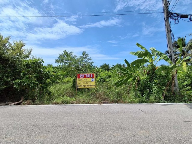 ขายที่ดิน 199 ตร.วา. หลักสอง บ้านแพ้ว สมุทรสาครรายละเอียดทรัพย์ขนาดเนื้อที่: 199 ตารางวาหน้ากว้าง 46 เมตร ลึก 20 เมตรทำเลเด่น: ตั้งอยู่บนถนนทุ่งกระโจมทอง  ซ.โรงถ่าน ต.หลักสอง อ. บ้านแพ้ว จ.สมุทรสาคร แหล่งปลูกสวนผลไม้ชื่อดังของสมุทรสาคร ใกล้แหล่งท่องเที่ยวเชิงเกษตร บรรยากาศเงียบสงบ ไม่แออัด ใกล้กรุงเทพฯสถานที่ใกล้เคียงและจุดเชื่อมต่อสำคัญวัดกระโจมทอง และรร.กระโ�