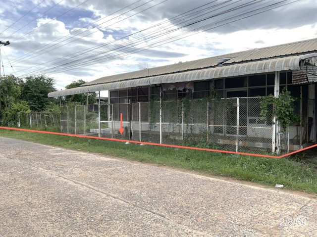 ขายบ้านเดี่ยว ชัยภูมิ ถนน สายบ้านสระแต้ - บ้านหนองผักหลอด ตำบล กวางโจน อำเภอ ภูเขียว จังหวัด ชัยภูมิ  ถนน สายบ้านสระแต้ - บ้านหนองผักหลอด ตำบล กวางโจน อำเภอ ภูเขียว จังหวัด ชัยภูมิ  ราคาโปรโมชั่น 1,197,000 บาท    ลดจาก 1,618,000 บาท ราคาโปรโมชั่นตั้งแต่วันที่ 1 กรกฎาคม 2569 – 30 กันยายน 2569  รายละเอียดทรัพย์ -  เนื้อที่ 243 ตร.ว.  พื้นที่ใช้สอย 180 ตร.ม. -  2 ห้องน้ำ  -  1 ที่จอดรถ  -  บ้านหันไปทางทิศตะ�