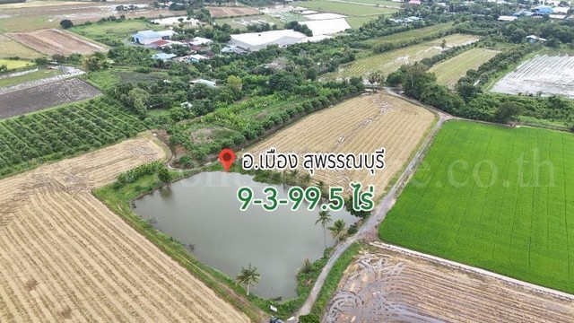 รหัสทรัพย์ : N0753&nbsp;ที่ดิน 9 ไร่ 3 งาน 99.5 ตร.วา สวนแตง สุพรรณบุรี&nbsp;ที่ตั้ง : ตำบลดอนโพธิ์ อำเภอเมืองสุพรรณบุรี จังหวัดสุพรรณบุรี 72000&nbsp;รายละเอียดทรัพย์&nbsp;-&nbsp;ที่ดิน 9 ไร่ 3 งาน 99.5 ตารางวา&nbsp;ด้านกว้างสุด 140 เมตร ลึก 180 เมตร- ปัจจุบันให้เช่าทำนา เลี้ยงปลา 10,000 ต่อปี สามารถให้เช่าต่อได้-&nbsp;ขุดบ่อไว้พักน้ำสำหรับใช้ทำนา เลี้ยงปลา, ปลูกต้นมะม่วง-&nbsp;ติดถนนทางสาธารณะ 2 ฝั่ง มีทางเดินรอบท