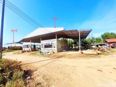 ขาย บ้านเดี่ยว/ทาวน์เฮ้าส์/คอนโด โกดัง สุพรรณบุรี  ถนน สายทุ่งคอก - ดอนตาเพชร (ทล.3358) ตำบล บ่อสุพรรณ อำเภอ สองพี่น้อง จังหวัด สุพรรณบุรี  ราคาโปรโมชั่น  4,943,000    บาท    ลดจาก   6,404,000    บาท ราคาโปรโมชั่นตั้งแต่วันที่ 1 กรกฎาคม 2569 – 30 กันยายน 2569  รายละเอียดทรัพย์ -  เนื้อที่ 7-0-0.00 ไร่  พื้นที่ใช้สอย 324 ตร.ม. -  บ้านหันไปทางทิศ เหนือ  พิกัดทรัพย์ : https://maps.app.goo.gl/ivCRS58vB7kmjQdK6  สถานที่ใกล้เคียง   -ตลาดนัด กม.31 -