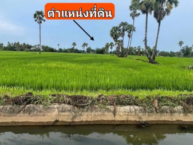 ขายที่ดินแปลงสวย ทำเลทองแห่งความสงบ!ที่นา 3 ไร่ 28 ตารางวา | ต.บ้านหาด อ.บ้านลาด จ.เพชรบุรีเปลี่ยนชีวิตให้ช้าลง ซึมซับธรรมชาติอย่างแท้จริง กับที่ดินแปลงสวยโอบล้อมด้วยบรรยากาศสงบ ร่มเย็น และเป็นมิตร สายลมพัดผ่านตลอดปี พร้อมให้คุณหิ้วกระเป๋าเข้ามาเริ่มสานฝันได้ทันที ในราคาที่จับต้องได้และคุ้มค่าน่าลงทุนที่สุดทำไมที่ดินแปลงนี้ถึงตอบโจทย์คุณ    ความสมบูร