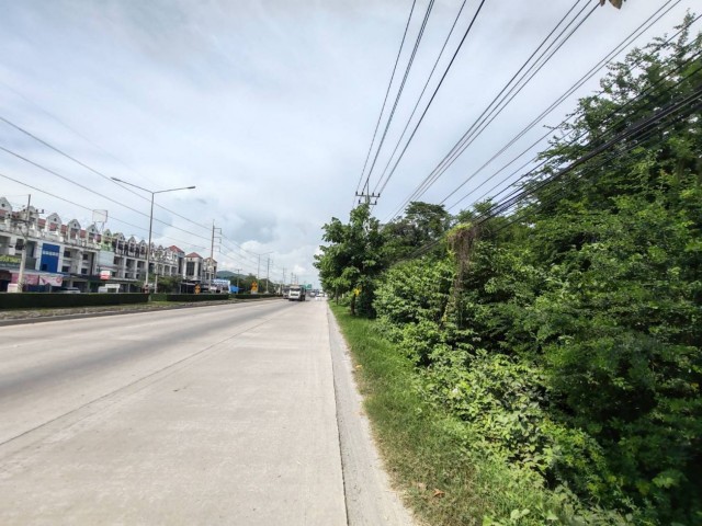 สะสมที่ดินทำเลเด่น! แปลงสวย 100 ตร.วา ติดถนนมาลัยแมน ใกล้แยกวังขอน  สุพรรณบุรี.TPI-3525.ที่ตั้ง : ถนนมาลัยแมน  ตำบลจรเข้สามพัน   อำเภออู่ทอง จังหวัดสุพรรณบุรี.Google Mapshttps://maps.app.goo.gl/u1mrcFfKRFQS9HeHA.จุดเด่นของทรัพย์- เนื้อที่ 100 ตารางวา- หน้ากว้างติดถนนประมาณ 19 เมตร  ลึก 21 เมตร- รูปแปลงสี่เหลี่ยมจตุรัส ใช้งานและพัฒนาได้ง่าย- ติดถนนใหญ่ 6 เลน การสัญจรสะดวก- ที่ดินใกล้แยกวังขอน ก่อนถึง ปตท.อู่ทอ