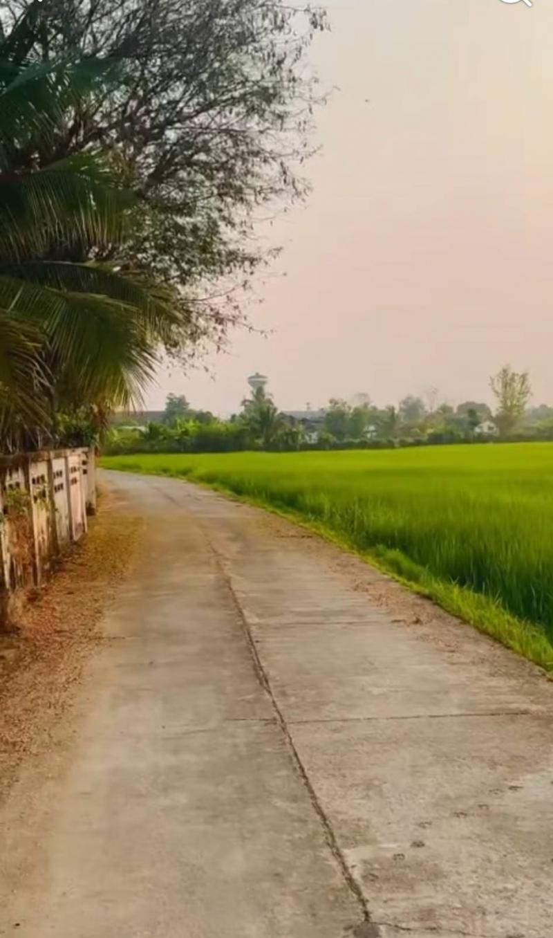  ขายที่ดินแปลงสวย ทำเลดี ตำบลสันกลาง อำเภอพาน จังหวัดเชียงราย เดินทางสะดวก ใกล้ถนนสายหลัก มีถนนติดที่ดิน 2  ด้าน พร้อมระบบไฟฟ้าและน้ำประปาเข้าถึง เหมาะสำหรับผู้ที่กำลังมองหาที่ดินเพื่อการลงทุน ราคา: ไร่ละ 490,000 บาท ราคารวม : 4,850,000 บาทที่ตั้ง: ตำบลสันกลาง อำเภอพาน จังหวัดเชียงราย 57120พิกัด: https://maps.app.goo.gl/cjiyKsSBcMdpmar66?g_st=alรายละเอียดที่ดิน- เนื้อที่ 9 ไร่ 2 งาน 19 ตารางวา- หน้ากว้างติด