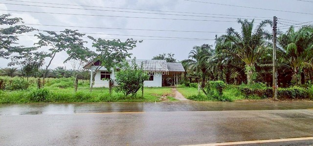  ที่ดิน  54 ไร่ 139 ตร.ว มีครบ! สวนยาง–สวนปาล์ม–บ้าน–น้ำใช้ตลอดปี จ.สระแก้ว  อำเภอเมือง ตำบลศาลาลำดวน จังหวัดสระแก้ว เนื้อที่รวม 54 ไร่ 139 ตารางวา ที่ดินพร้อมใช้ ครบทุกฟังก์ชัน เหมาะกับการลงทุนระยะยาว หรือทำเกษตรผสมผสานได้ทันที บนที่ดิน 54 ไร่ มีอะไรบ้าง สวนยางพารา 15 ไร่  สวนปาล์มน้ำมัน 30 ไร่  ตาน้ำธรรมชาติ (บ่อตื้น) น้ำใช้ได้ตลอดทั้งปี  บ้านชั้นเดียว พื้นที่ใช้สอยประม