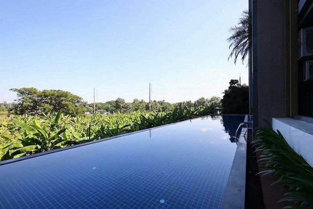 ให้เช่า 17,000 บาท/เดือน / ขายเพียง 2.69 ล้าน #starhill คอนโดหรูสไตล์ Modern Classy วิวสวน ห้องสตูดิโอรายละเอียดห้อง- ห้องสตูดิโอ ขนาด 33 ตร.ม.- วิวสวน บรรยากาศร่มรื่นและเป็นส่วนตัว- เฟอร์นิเจอร์และเครื่องใช้ไฟฟ้าครบครัน- มีเครื่องซักผ้าส่วนตัวและเครื่องฟอกอากาศ- อินเทอร์เน็ตความเร็วสูง 500/500 Mbpsพักผ่อนอย่างเป็นส่วนตัว พร้อมใช้ชีวิตอย่างมีสไตล์ห้องสตูดิโอวิวสวน บรรยากาศเงียบสงบ พร