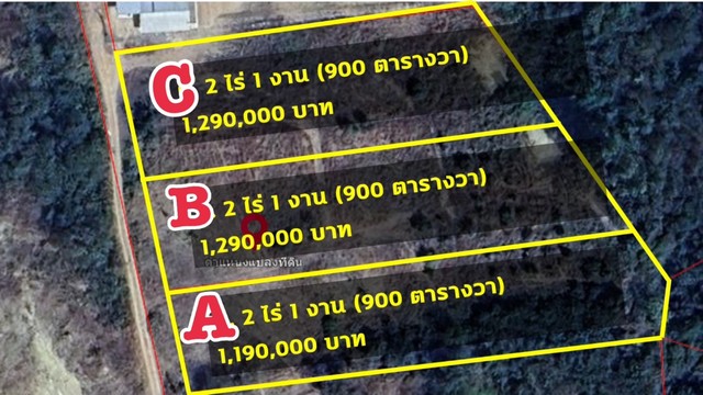 (English version below)  เปิดตัวอย่างเป็นทางการแล้วนะ คะ สำหรับโครงการ“ทิวคีรี” 