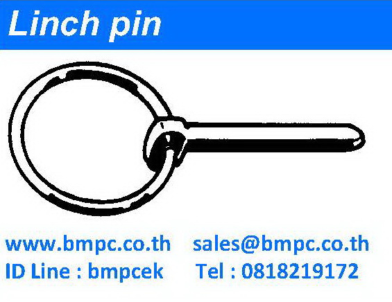 Linch Pin  Material : steel  Surface treatment : Zinc plated  &nbsp;  Size&nbsp; (mm.)  4.5x40, 6x40, 7x40, 8x40, 9.5x40, 10x40, 11x40  &nbsp;  ฝ่ายขายติดต่อ&nbsp; เอก&nbsp; 0818219172 , อรุณลักษณ์ &nbsp;0819126715, สุพัฒตรา&nbsp; &nbsp;0818353359&nbsp;   &nbsp;&nbsp;&nbsp;&nbsp;&nbsp; สำนักงานโทร &nbsp;027489730-1&nbsp; Fax 027489852   &nbsp;&nbsp;&nbsp;&nbsp;&nbsp;&nbsp; ID Line bmpcek  &nbsp;&nbsp;&nbsp;&nbsp;&nbsp;&nbsp; www.bmpc.co.th,&nbsp; e-mail : sales@bmpc.co.th  &nbsp;  