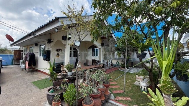 รหัสทรัพย์ : N1565บ้านชั้นเดียว พร้อมที่ดิน 75 ตารางวา ซอยบงกช 12 คลองสองที่ตั้ง :&nbsp;ตำบลคลองสอง&nbsp;อำเภอคลองหลวง&nbsp;จังหวัดปทุมธานี 12120รายละเอียดทรัพย์- บ้านเดี่ยวชั้นเดียว เนื้อที่ 75 ตารางวา พื้นที่ใช้สอย 100 ตารางเมตร- 2 ห้องนอน, 1 ห้องน้ำ, 1 ห้องครัว, 1 ห้องรับแขก&nbsp;- เป็นบ้านปลูกสร้างเองตามแบบของรัฐ- หน้าบ้านกว้าง 17 เมตร ลึก 17.5 เมตร-&nbsp;จอดรถในบ้านได้ 4 คัน- บ้านสภาพดี เจ้าของดู�