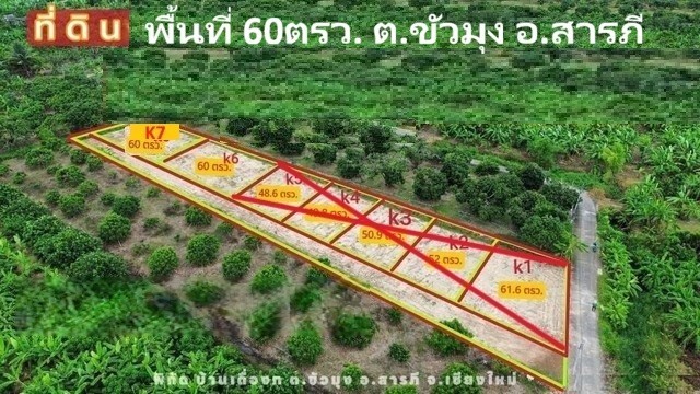 ขายที่ดินแบ่งจัดสรร 60ตรว. ลดเหลือ 294,000บ. ฟรีโอน ถนน น้ำ ไฟฟ้า ใกล้วัดขัวมุง ต.ขัวมุง อ.สารภี เชียงใหม่โครงการใหม่ที่ดินพร้อมสร้างบ้าน@ใกล้ตลาดน้ำโท้ง สารภี เชียงใหม่#ที่ดินแปลงเล็กทำเลดีบรรยากาศสุดร่มรื่นเดินทางสะดวกเข้า-ออกหลายเส้นทาง#ทุกอย่างตรงปก #แปลงสวยทุกแปลง#โซนนี้ราคานี้หาไม่ได้แล้วนะครับพื้นที่ 60 ตรว. ลดราคาเหลิอ 294,000บ. บาท ตามผังในรูปโฉนดแบ่งเสร็�