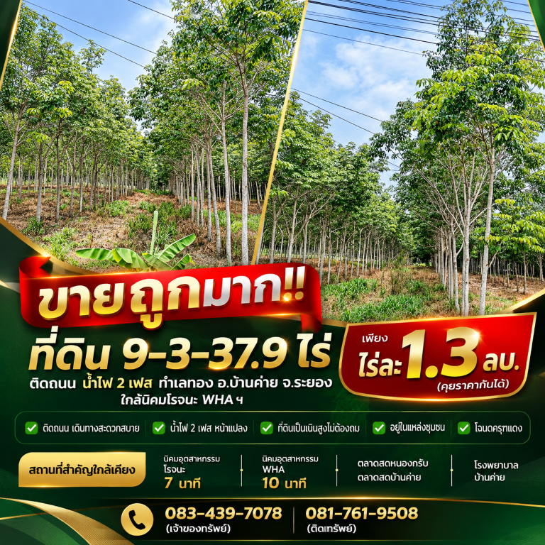 ขายถูกมาก!! ที่ดิน 9-3-37.9 ไร่ ติดถนน น้ำไฟ 2 เฟส ทำเลทอง อ.บ้านค่าย จ.ระยอง ใกล้นิคมโรจนะ WHA ฯที่ดิน 9 ไร่ 3 งาน 37.9 ตารางวา- ติดถนน เดินทางสะดวกสบาย- น้ำไฟ 2 เฟส หน้าเเปลง- ที่ดินเป็นเนินสูงไม่ต้องถม- มีแนวเสาไฟฟ้าผ่าน- บรรยากาศดี ร่มรื่น&nbsp;- อยู่ในแหล่งชุมชน&nbsp;- โฉนดครุฑแดงที่ตั้ง : ต.หนองบัว อ.บ้านค่าย จ.ระยอง 21120พิกัด : https://maps.app.goo.gl/C7byd7Y6RF4Suq35Aสถานที่สำคัญใกล้เคียง• นิคมอุตสาหกรรมโรจนะ 