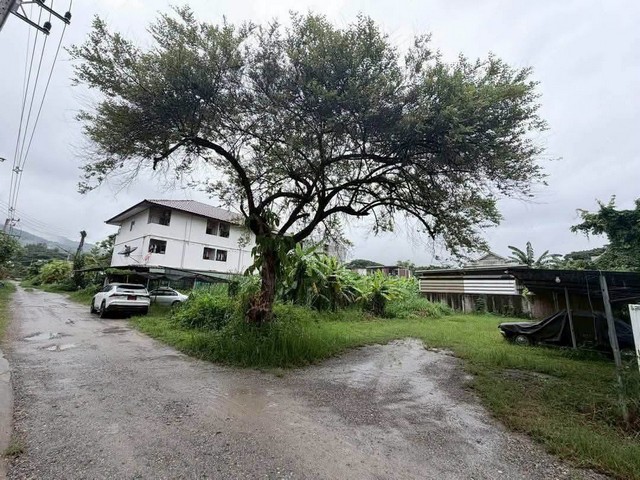 ที่ดินทำเลดี เหมาะสำหรับสร้าง บ้านพักอาศัย ธุรกิจขนาดเล็ก สุเทพ